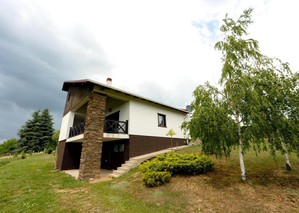 Vila Pellegrini Arandjelovac Exterior photo